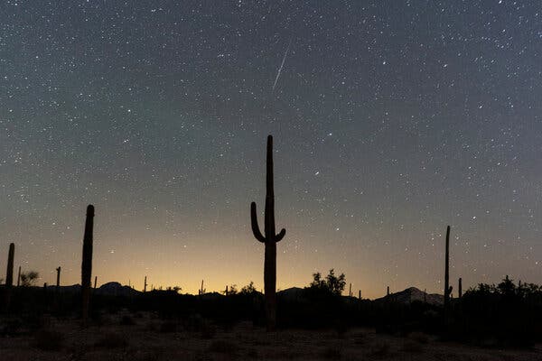 A meteor streaking over a silhouetted cactus in a desert landscape at dusk.