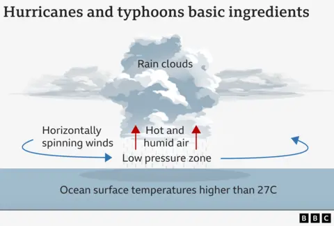 Graphic of ingredients typically needed for a hurricane. Ocean surface waters warmer than 27 degrees celsius, cause hot and humid air to rise, leading to a low pressure zone. Out in the ocean this can result in winds beginning to spin around the depression.

