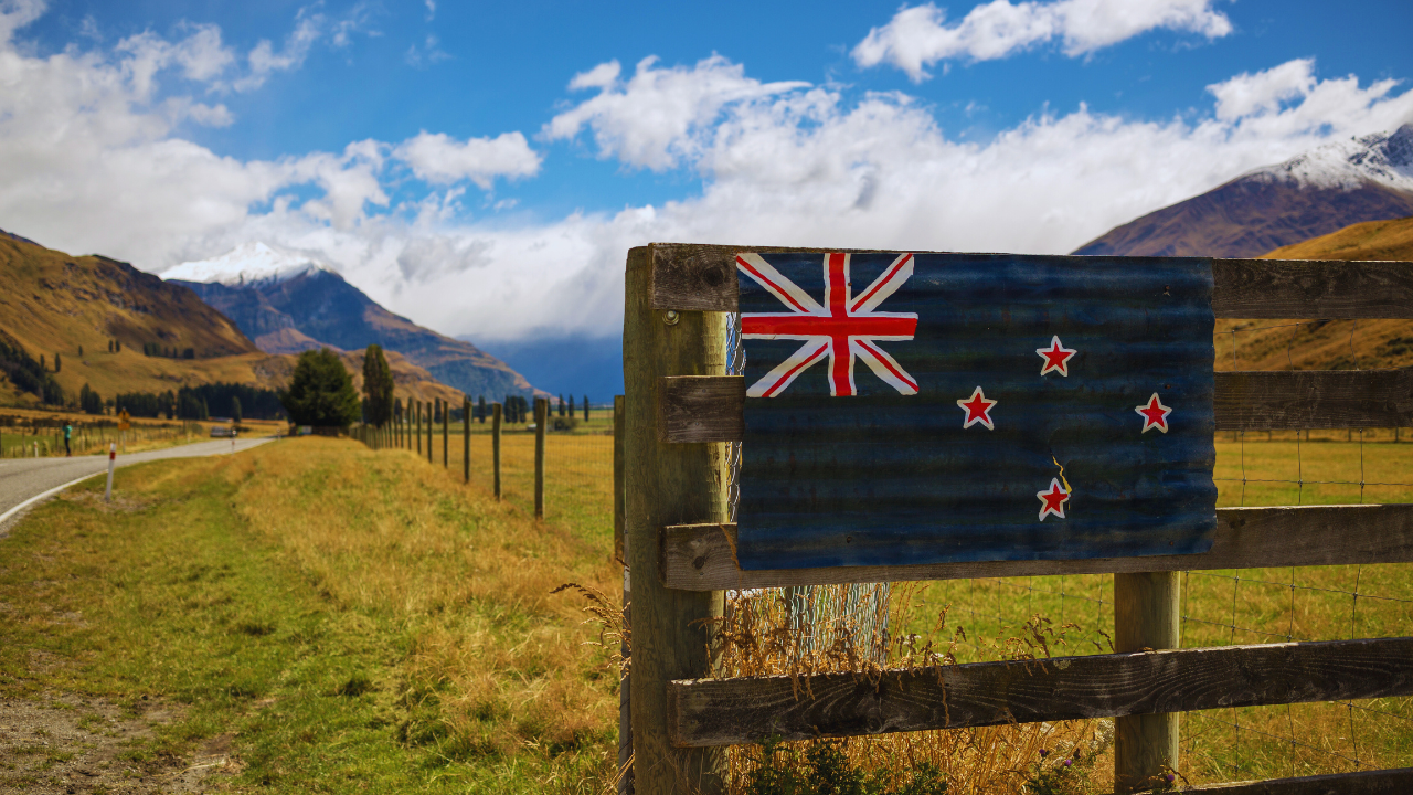 studying in new zealand